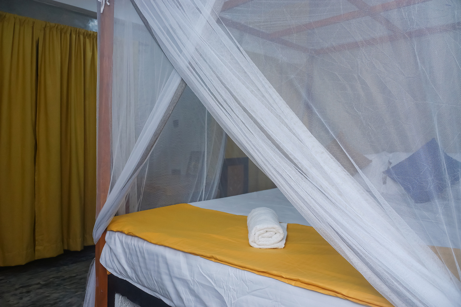 WhatsApp Image 2025-01-16 at 7.58.57 PM (2)