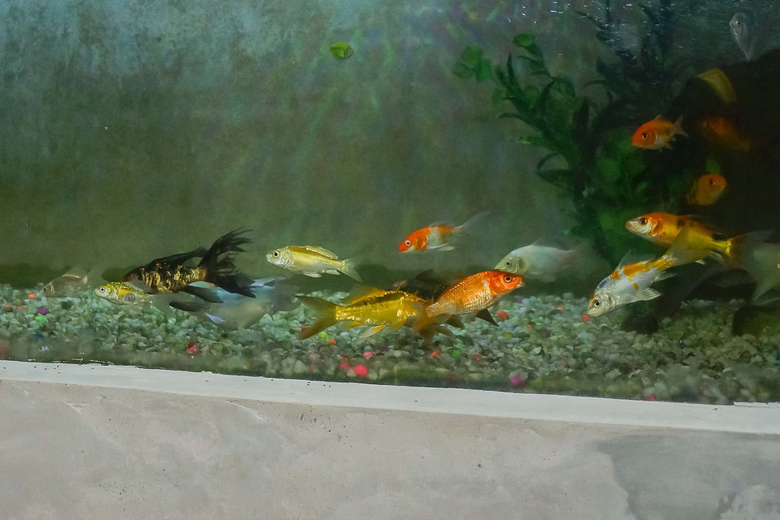 WhatsApp Image 2025-01-16 at 7.59.01 PM